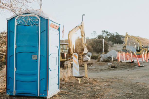 Portable Toilet Options We Offer in Chicago Ridge, IL